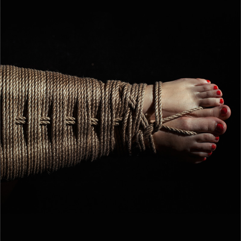 media/image/Blog-Images-Shibari-Guide-Cover-1200x1200.jpg