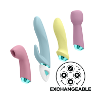 Satisfyer Fabulous Four Satisfyer Fabulous Four